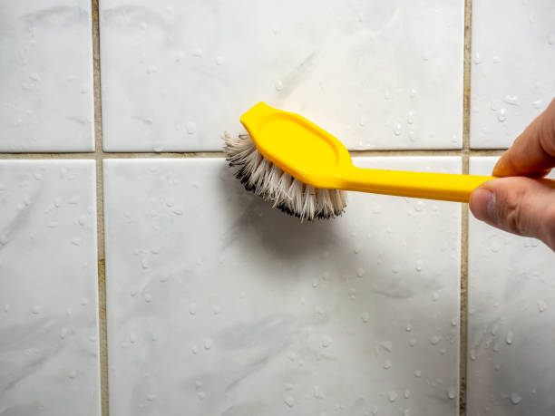 Best Affordable Mold Removal  in Fosston, MN