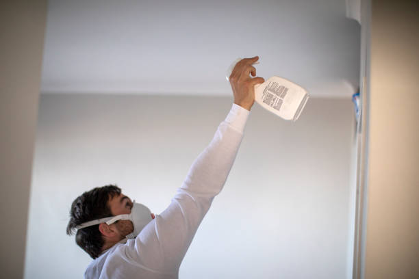 Best Mold Remediation  in Fosston, MN
