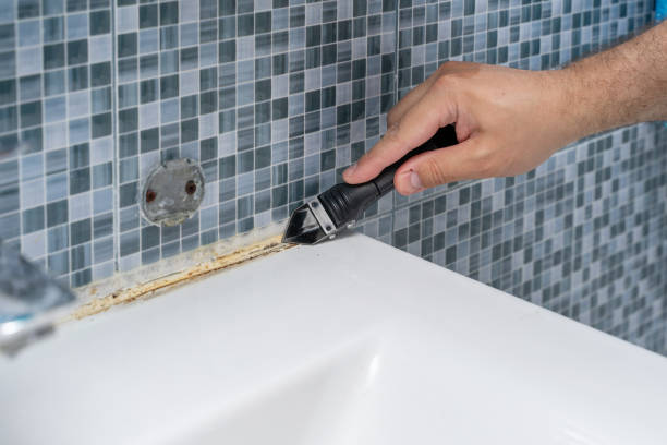 Best Local Mold Removal Service  in Fosston, MN