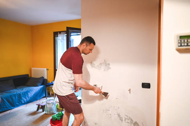 Best Home Mold Removal  in Fosston, MN